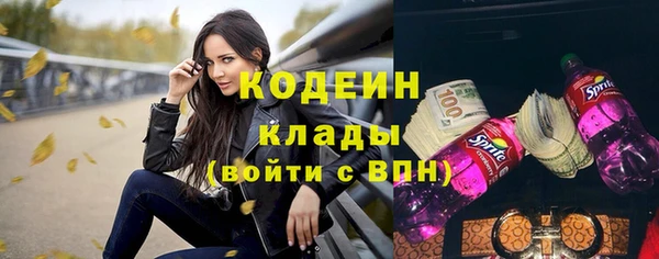 гашик Переславль-Залесский