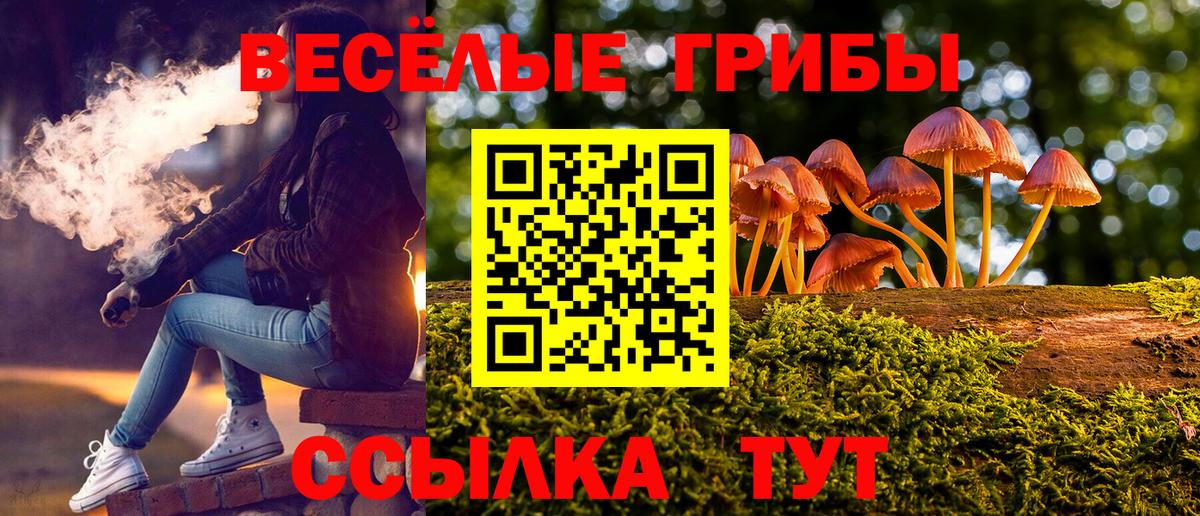 Галлюциногенные грибы Magic Shrooms Майский